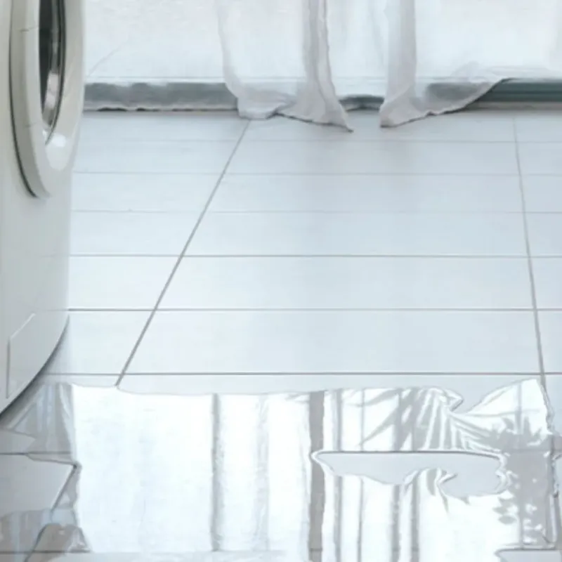 Appliance Leak Cleanup in Mahomet, IL