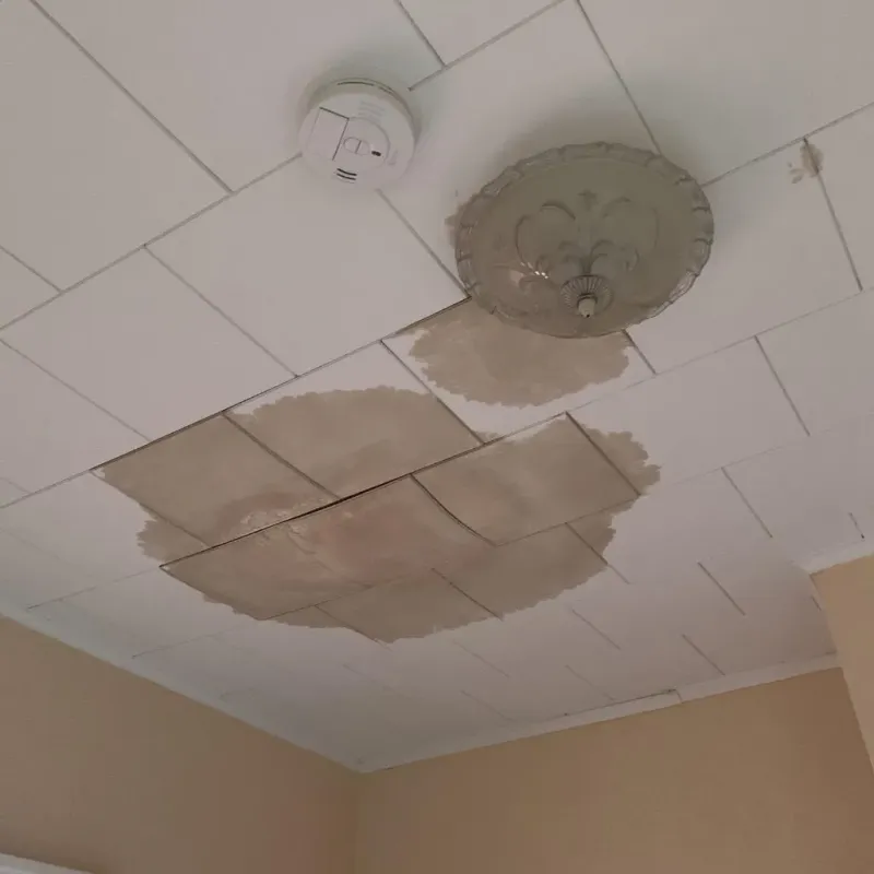 Ceiling Water Damage Repair in Mahomet, IL