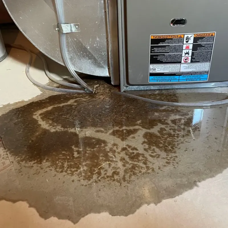Pipe Burst and Leak Restoration in Mahomet, IL