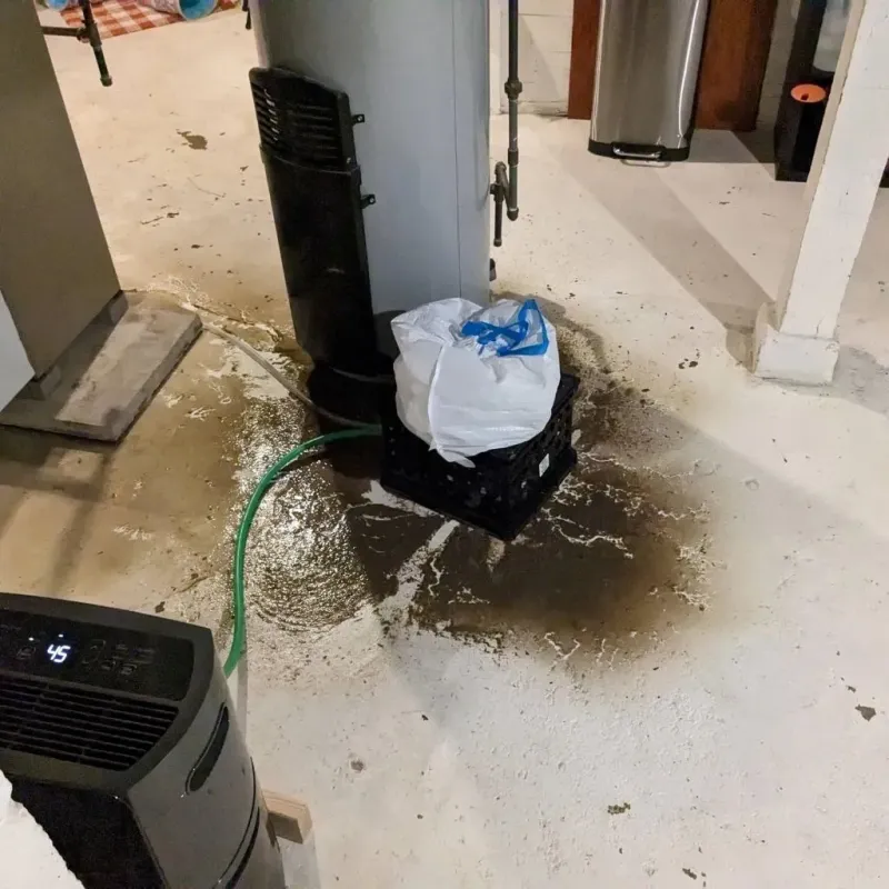 Sewage Backup Cleanup Service in Mahomet, IL